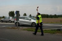 Policjant ruchu drogowego z uniesioną do góry tarczą sygnalizacyjną zatrzymuje do kontroli drogowej pojazd. W tle samochody jada ulicą.