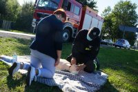 Działania Road Safety Days na DK44 w Bieruniu, strażak pokazuje na fantomie udzielanie pierwszej pomocy przedmedycznej, na pierwszym planie kobieta klęczy, w tle widać wóz strażacki