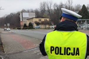 Na pierwszym planie po prawej stronie policjant ruchu drogowego stoi tyłem w odblaskowej kamizelce z napisem na plecach: POLICJA. W tle widać jezdnię, przejście dla pieszych, budynki i drzewa.