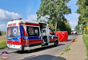 Miejsce wypadku. Na jezdni na pierwszym planie stoi karetka pogotowia. Za karetką widać fragment czerwonego parawanu z napisem STRAŻ. W tle widać przydrożne drzewa i niebo