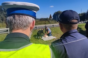 Na zdjęciu widzimy policjantów w czasie prowadzonych działań profilaktycznych