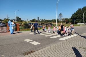 Na zdjęciu widzimy policjanta oraz sznupka wraz z grupą dzieci z przedszkola przechodzącą po przejściu dla pieszych