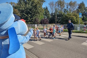 Na zdjęciu widzimy  sznupka który macha do dzieci przechodzących po przejściu dla pieszych