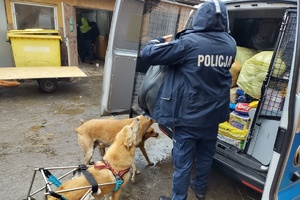 Na zdjęciu widzimy niepełnosprawnego pieska oraz policjanta