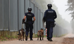 Na zdjęciu widzimy policjantów oraz psy służbowe