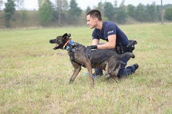 Na zdjęciu widzimy psa policyjnego oraz policjanta