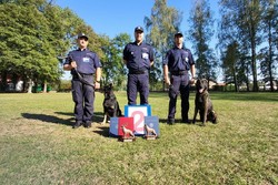 Na zdjęciu widzimy policjantów oraz psy służbowe