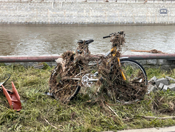 Na zdjęciu widzimy rower