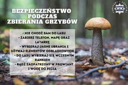 Na zdjęciu widzimy napis Podczas grzybobrania nie zapominajmy o bezpieczeństwie