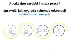 Na zdjęciu widzimy napis Atrakcyjna oferta i łatwy zarobek? W ten sposób rekrutuje się muła!