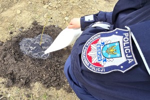Na zdjęciu widzimy zasadzone drzewko przez policjantkę