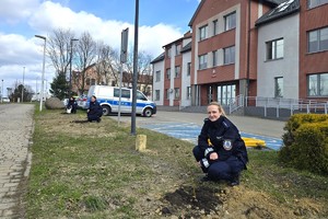 Na zdjęciu widzimy zasadzone drzewka przez policjantki