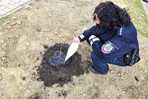 Na zdjęciu widzimy zasadzone drzewko przez policjantkę