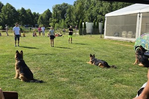 Na zdjęciu widzimy profilaktykę na pikniku nad zalewem