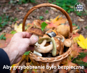 Na zdjęciu widzimy napis Aby grzybobranie było bezpieczne